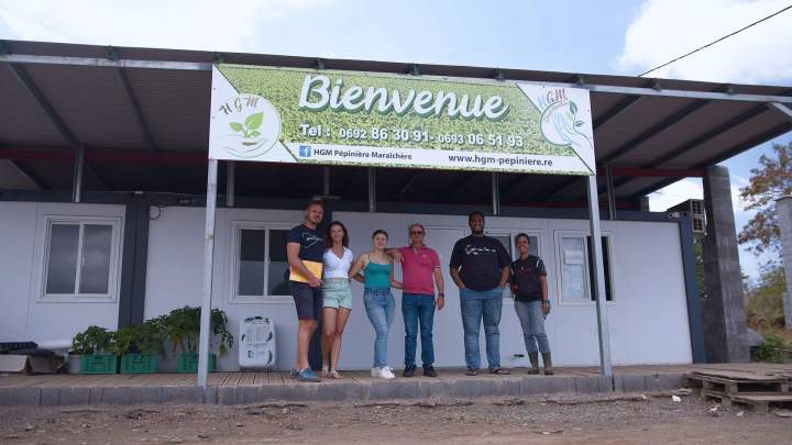 Plantes aromatiques Île de la Réunion